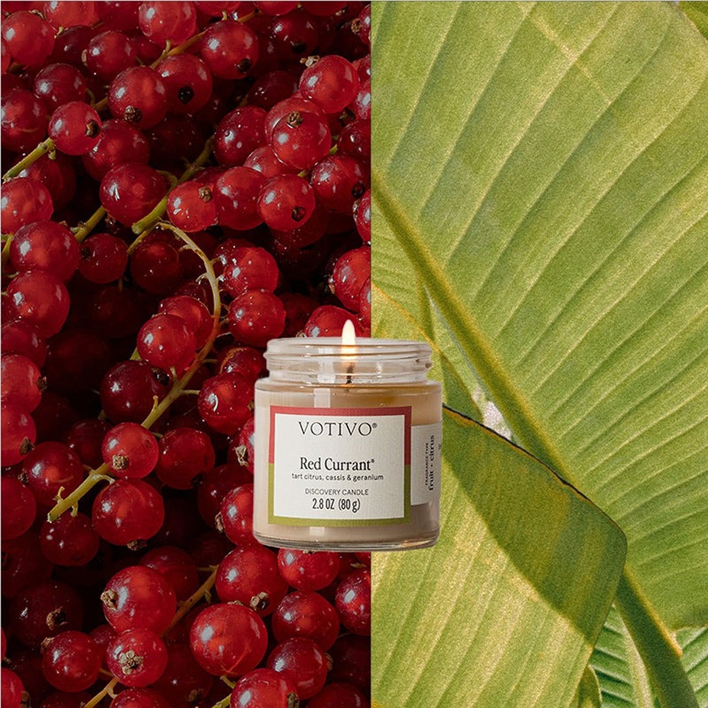 Red Currant Discovery Candle Jar - 6 pack