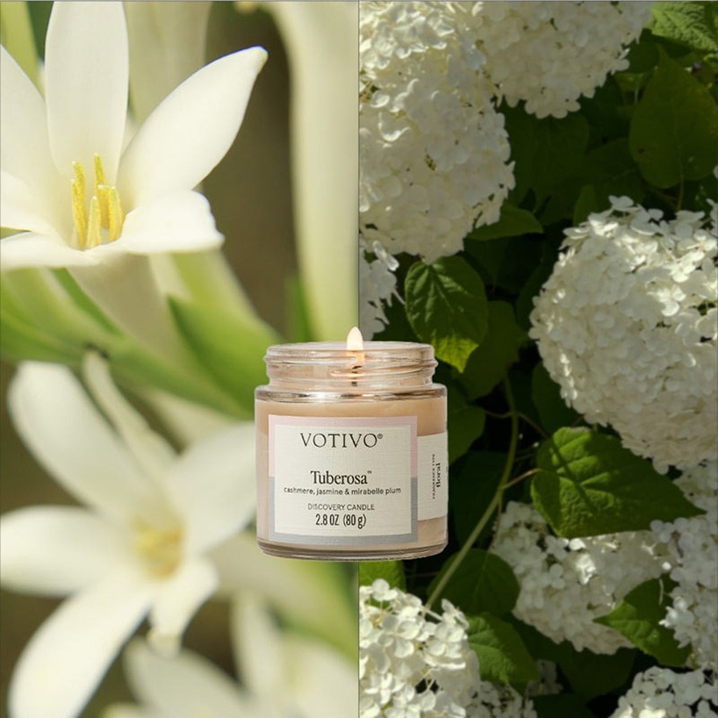 Tuberosa Discovery Candle 6pk