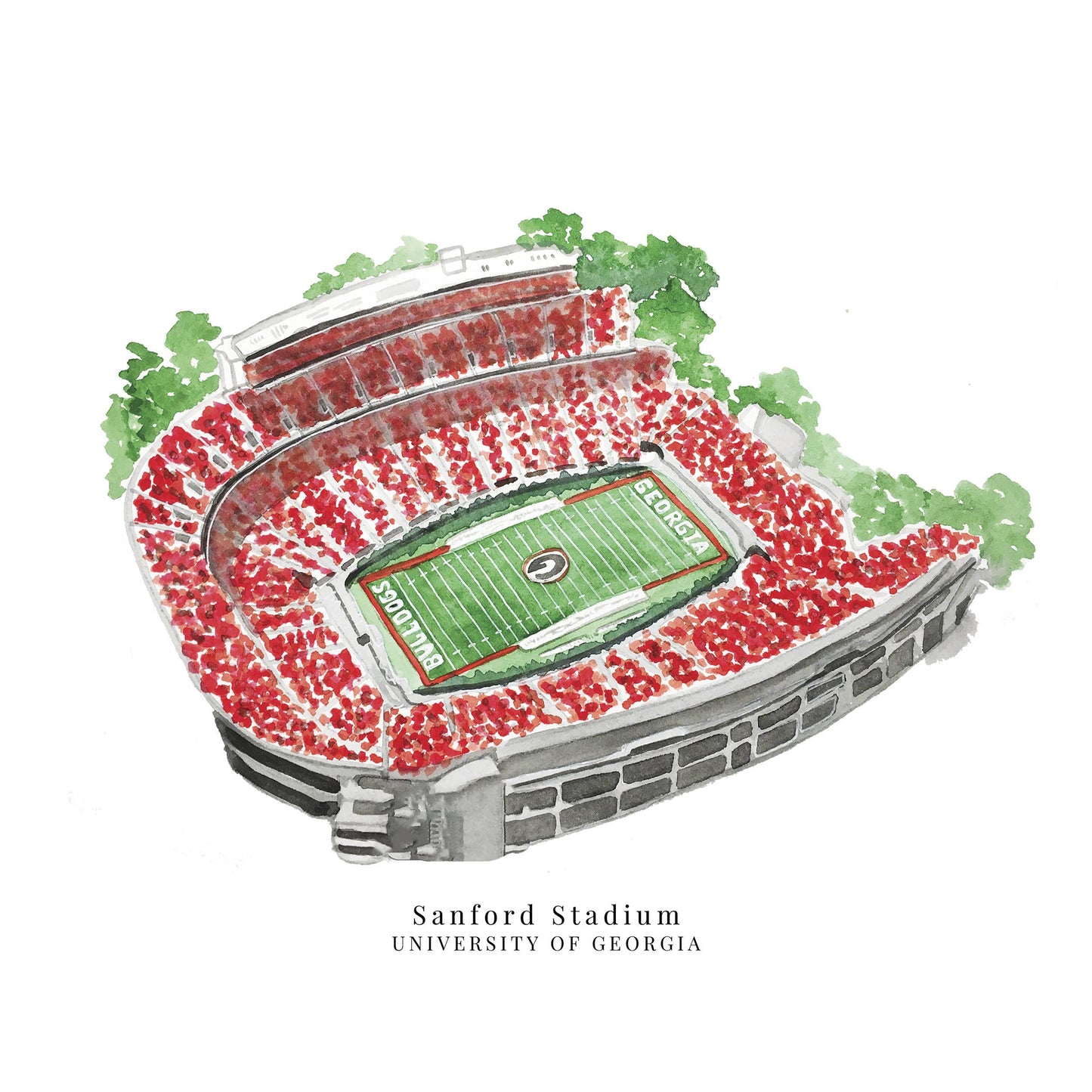Studio Miller - UGA Sanford Football Stadium Collegiate Art Print: 11 x 14