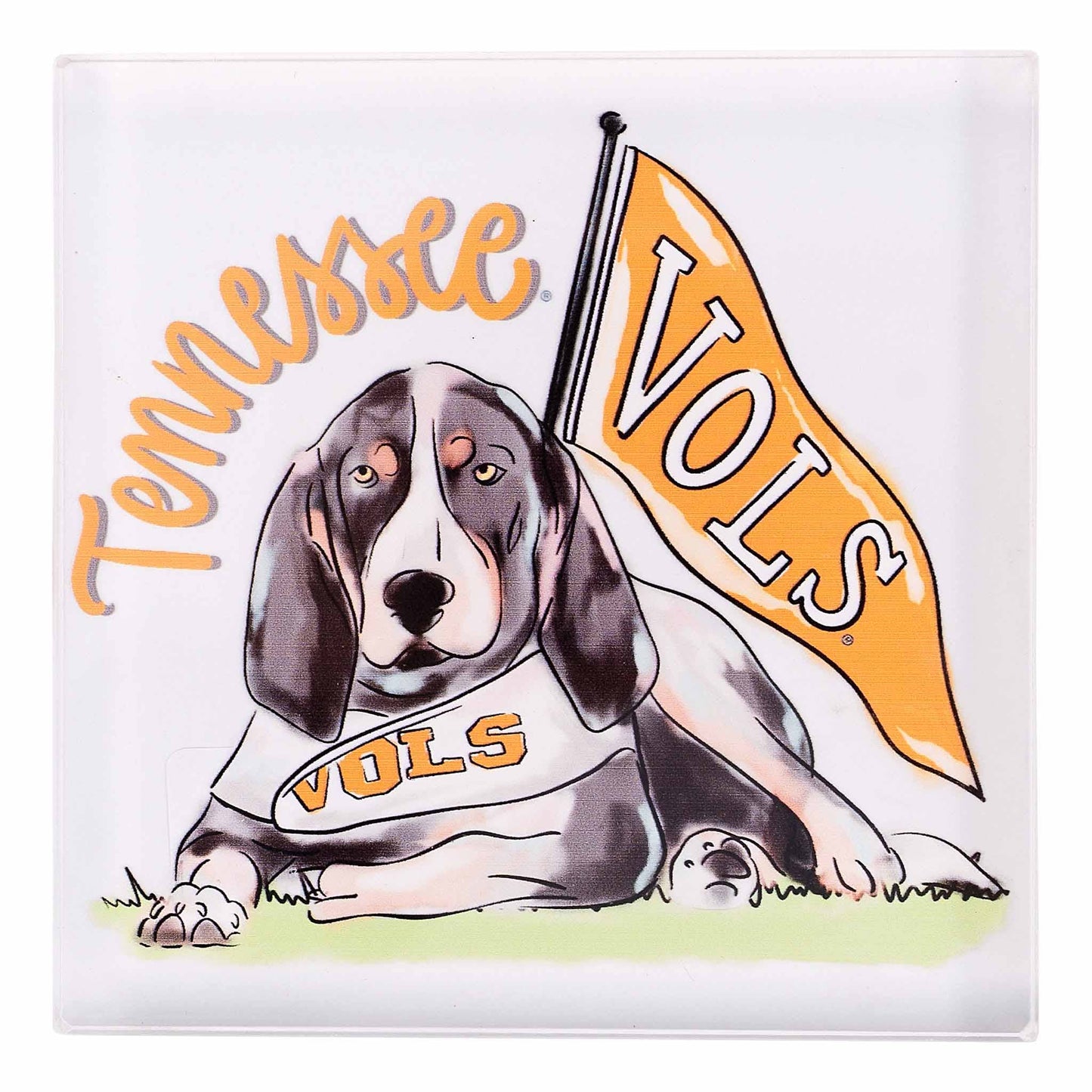 Acrylic Block | Tennessee