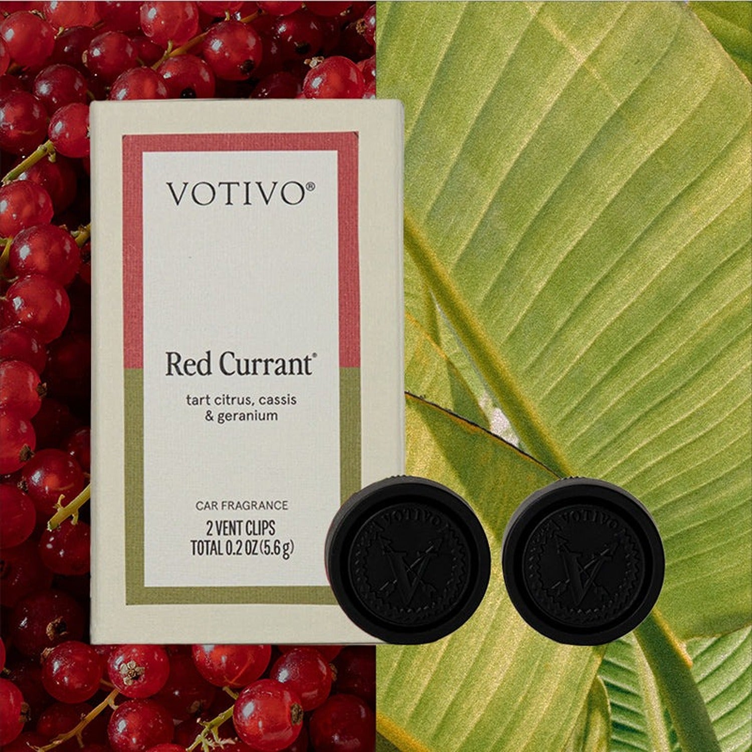 Red Currant Car Fragrance - 6 Pack