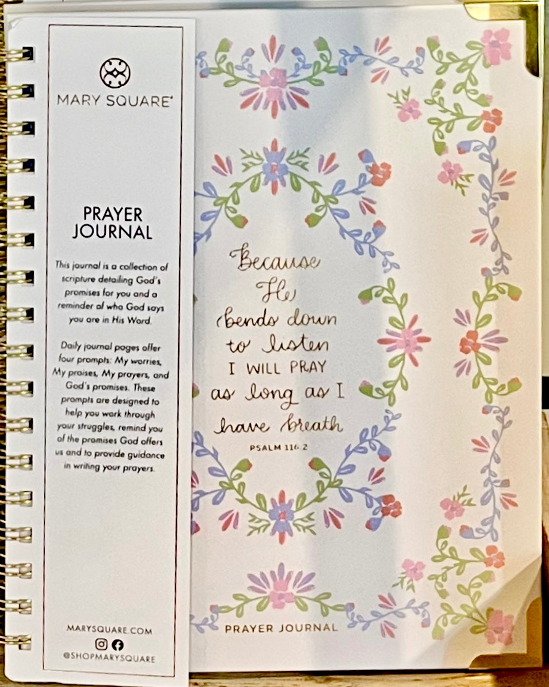 Mary Square Prayer Journal | I Will Pray